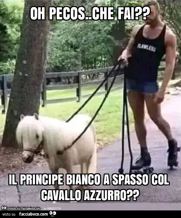 Oh pecos. Che fai? Il principe bianco a spasso col cavallo azzurro?