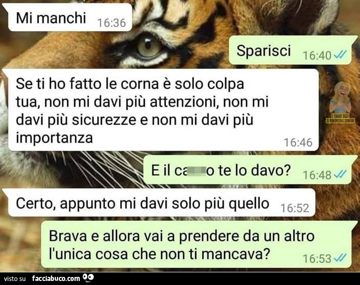 Vaccata