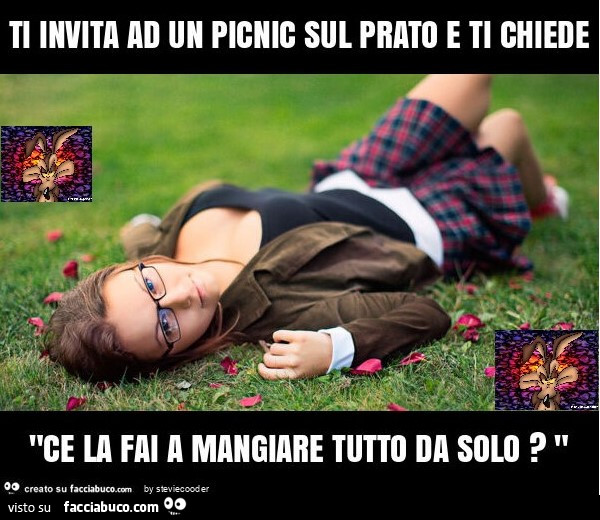 Ti invita ad un picnic sul prato e ti chiede "ce la fai a mangiare tutto da solo? "