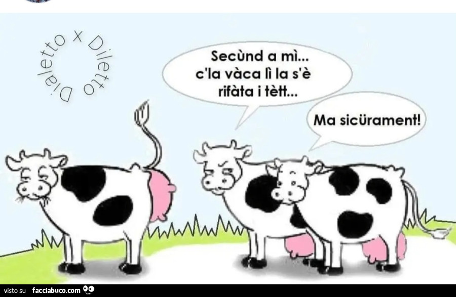 Secรนnd a mรฌ… c'la vร ca lรฌ la s'รจ rifร ta i tรจtt… ma sicรผrament