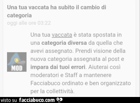 Vaccata