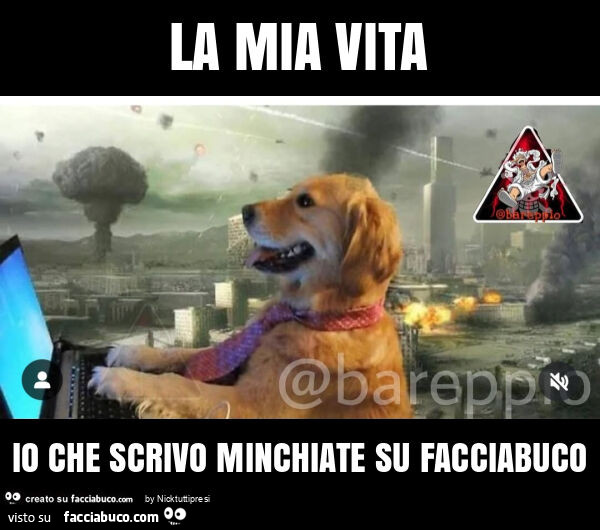 La mia vita io che scrivo minchiate su facciabuco