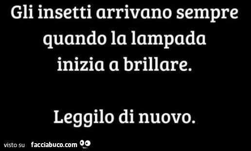 Gli insetti arrivano sempre quando la lampada inizia a brillare. Leggilo di nuovo