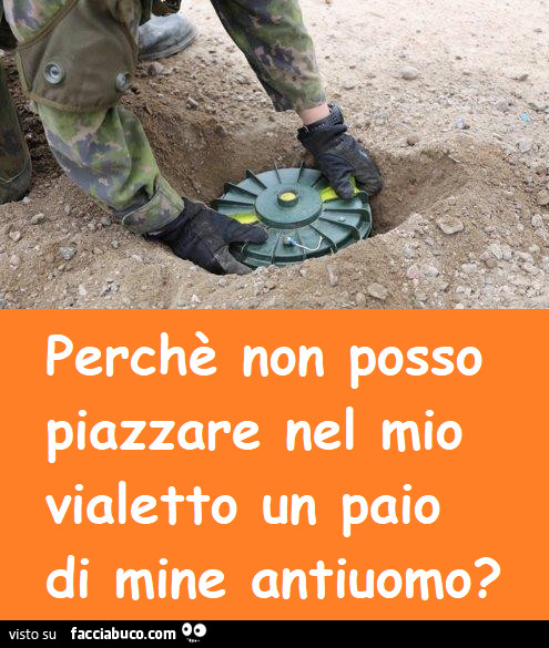 Vaccata