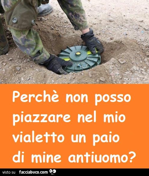 Vaccata