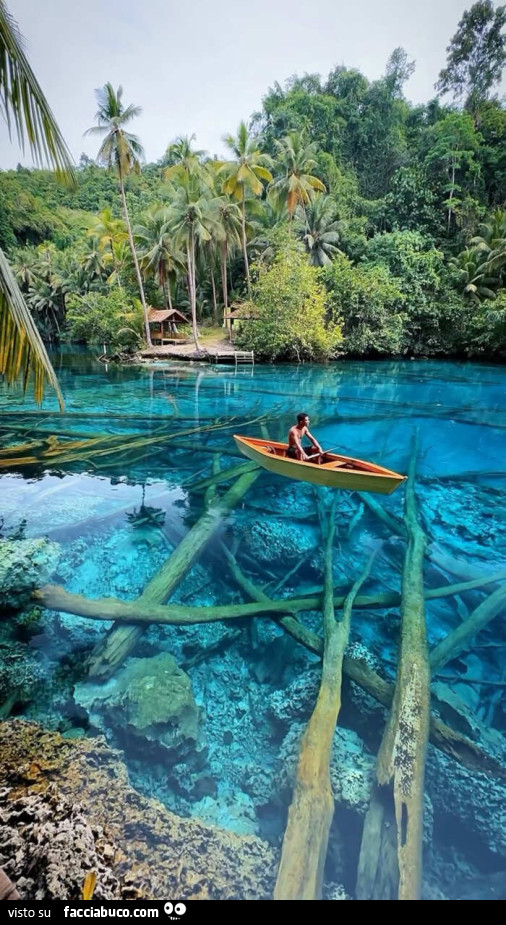 Fotografia di Daniel Konrad del lago piรน limpido del mondo in Indonesia
