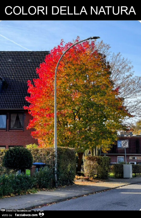 Colori della natura