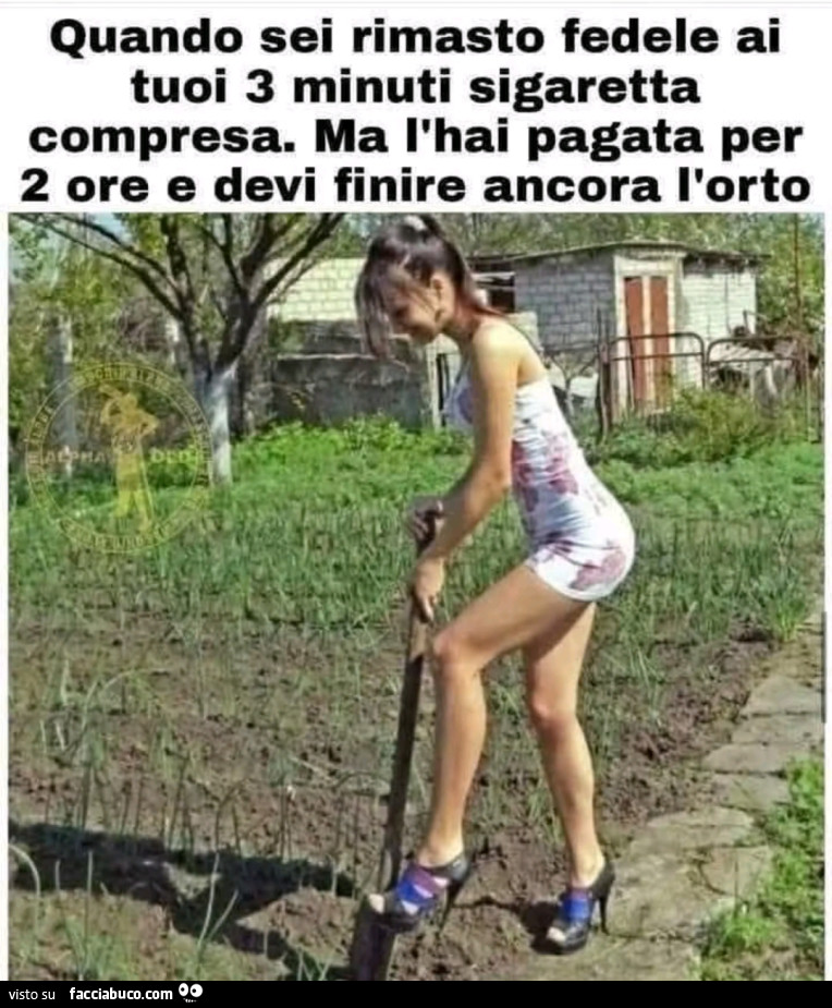 Vaccata
