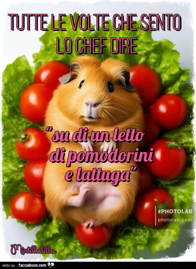 Letto di pomodorini