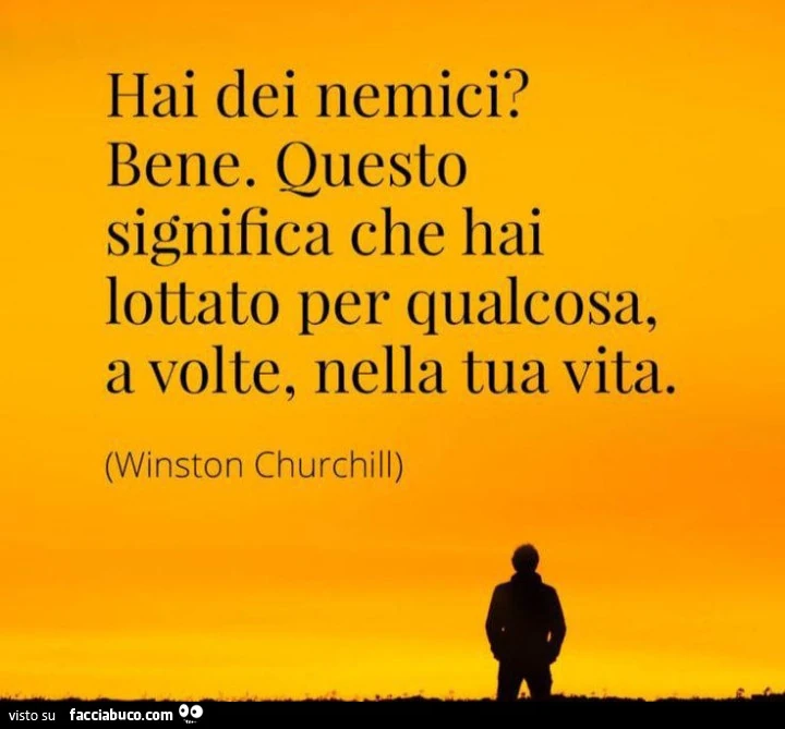 Hai dei nemici? Bene. Questo significa che hai lottato per qualcosa, a volte, nella tua vita. Winston Churchill