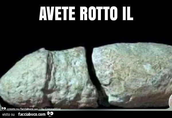 Vaccata