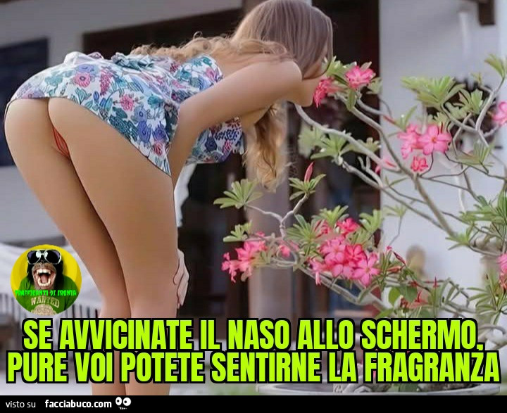 Se avvicinate il naso allo schermo pure voi potete sentirne la fragranza