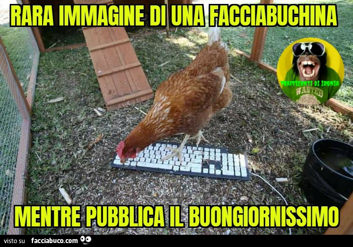 Rara immagine di una facciabuchina mentre pubblica il Buongiornissimo