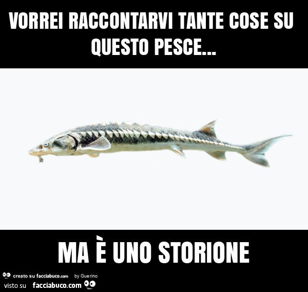 Vorrei raccontarvi tante cose su questo pesce… ma è uno storione