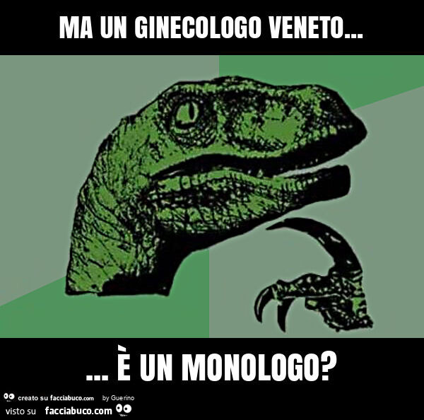 Ma un ginecologo veneto… è un monologo?