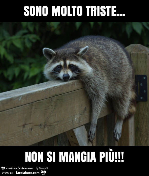 Sono molto triste… non si mangia più