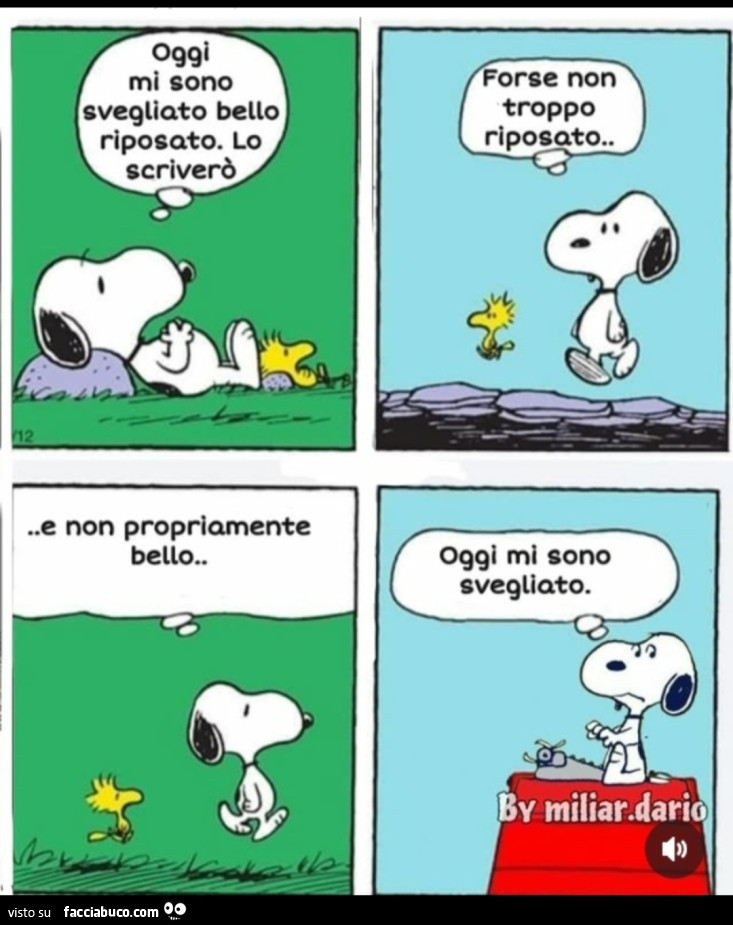 Snoopy… Oggi mi sono svegliato. Ne bello ne riposato