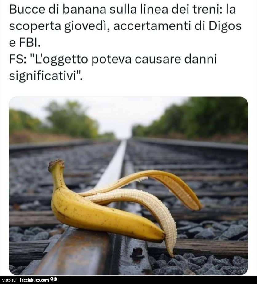 Bucce di banana sulla linea dei treni la scoperta giovedì accertamenti di DIGOS e fbi fs l'oggetto poteva causare danni significativi