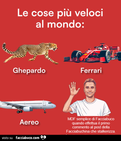 Le cose più veloci al mondo: mdf semplice di facciabuco quando effettua il primo commento al post della facciabuchina che stalkerizza