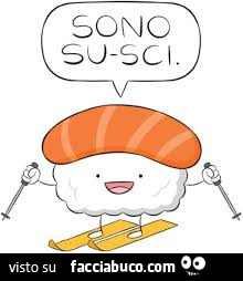 Sono su-sci