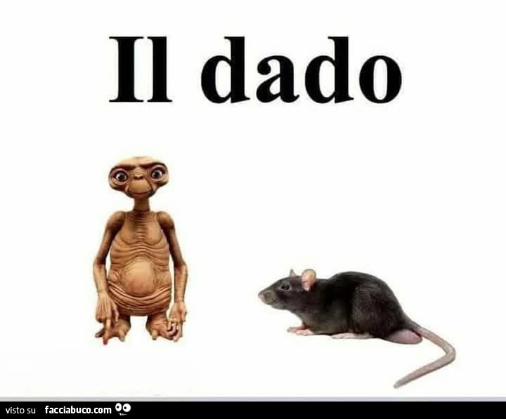 Il dado ET ratto