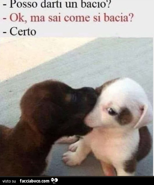 Bacio