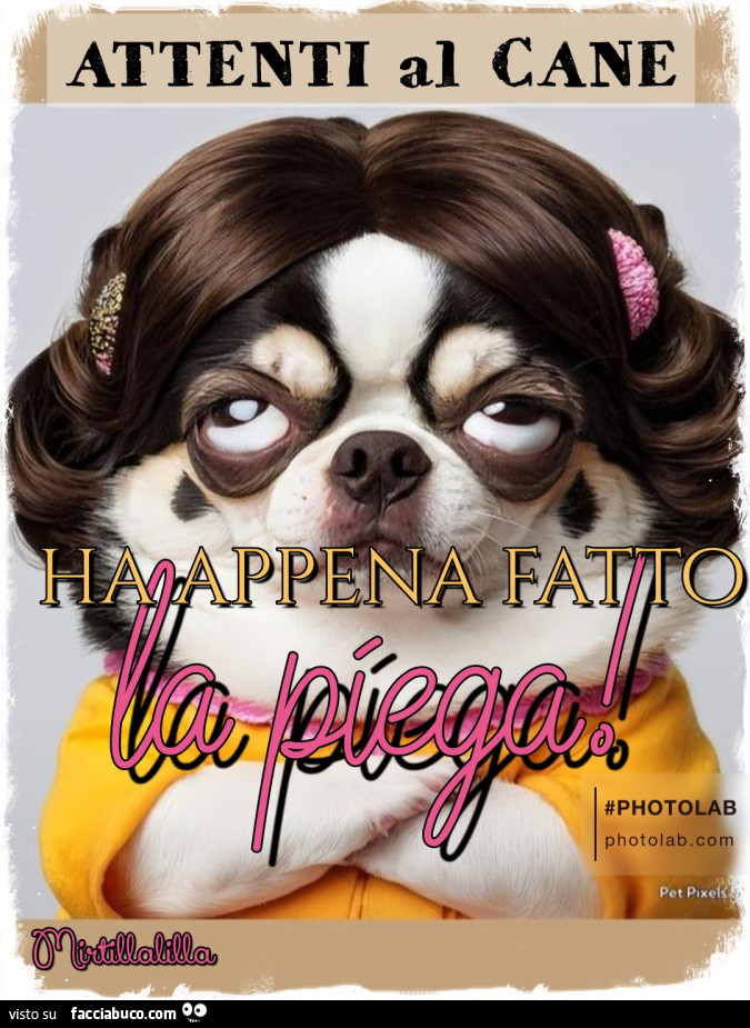 Attenti al cane
