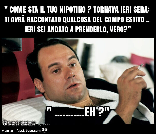 " come sta il tuo nipotino? Tornava ieri sera: ti avrà raccontato qualcosa del campo estivo. Ieri sei andato a prenderlo, vero? "
