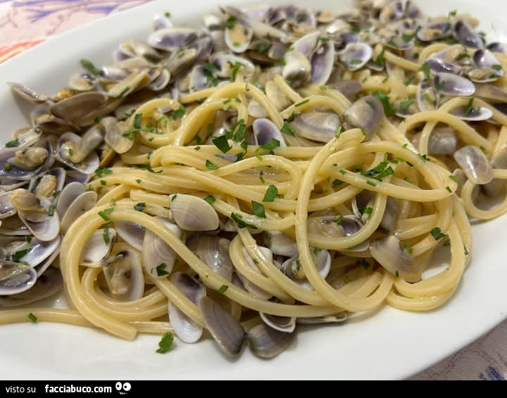 Vaccata
