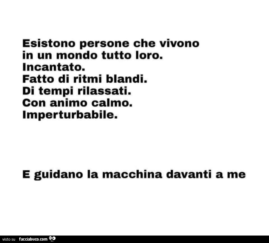 Esistono persone che vivono in un mondo tutto loro. Incantato. Fatto di ritmi blandi. Di tempi rilassati. Con animo calmo. Imperturbabile. E guidano la macchina davanti a me