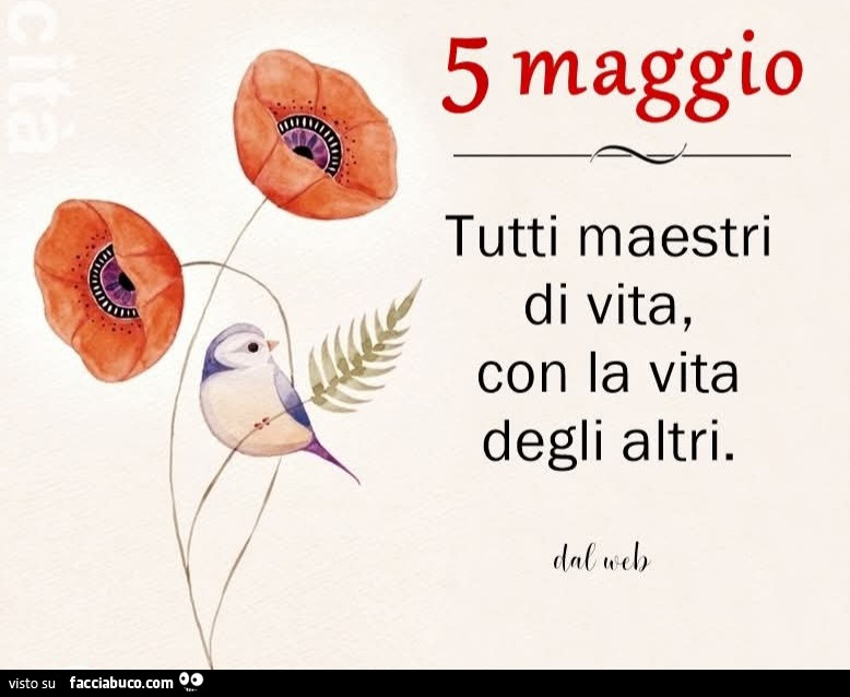 Tutti maestri di vita, con la vita degli altri