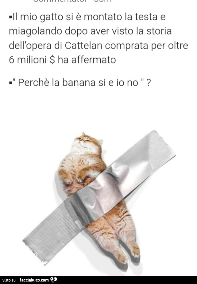 Il mio gatto si è montato la testa e miagolando dopo aver visto la storia dell'opera di cattelan comprata per oltre 6 milioni ha affermato perchè la banana si e io no?