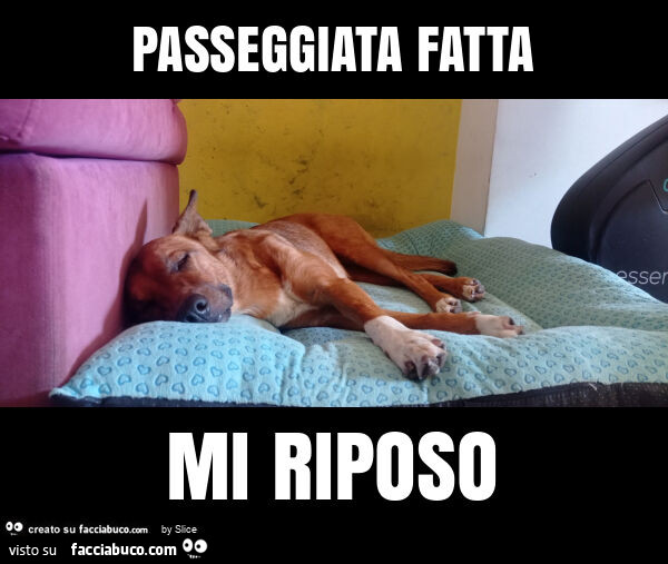 Passeggiata fatta mi riposo