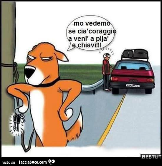 Vaccata