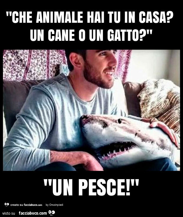 "che animale hai tu in casa? Un cane o un gatto? " "Un pesce! "