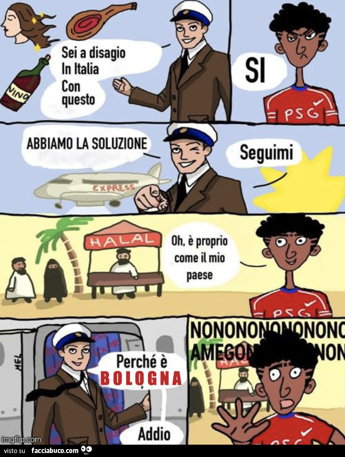 Reimigrazione