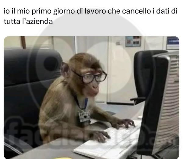 Scimmietta