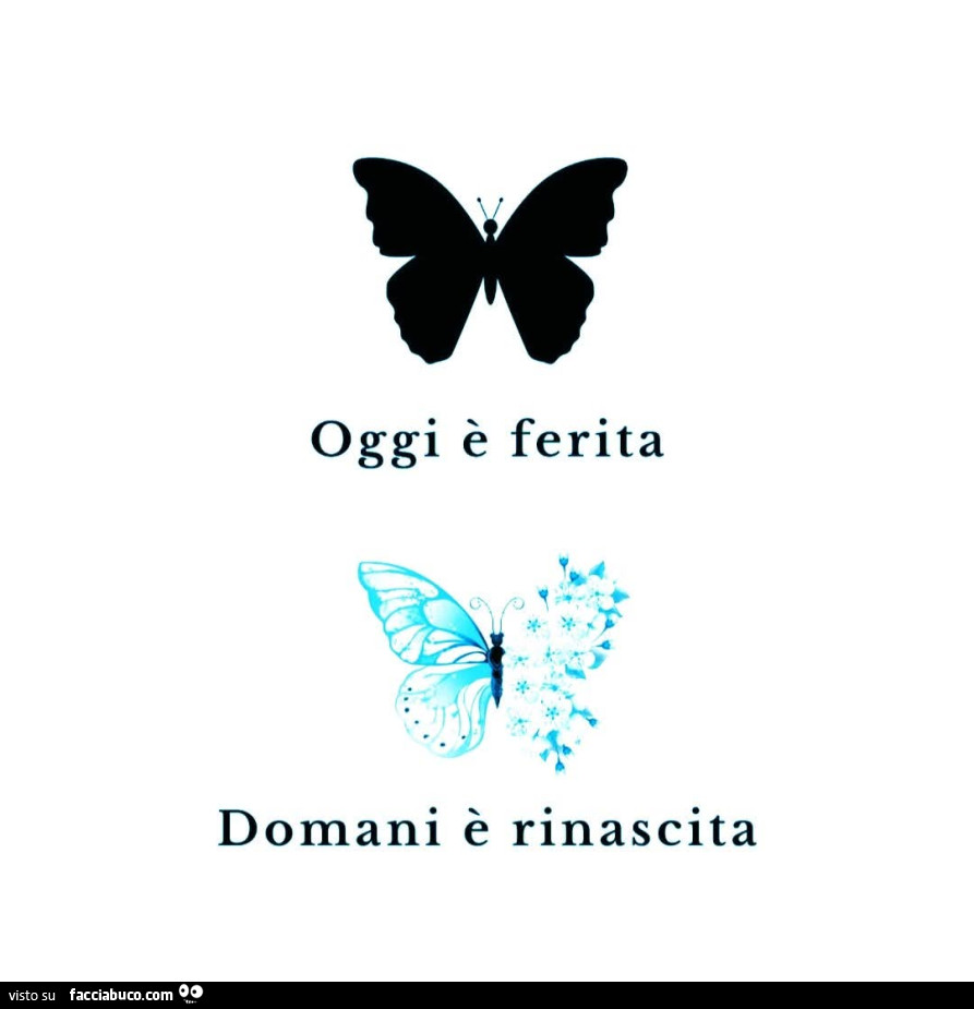 Oggi è ferita domani è rinascita