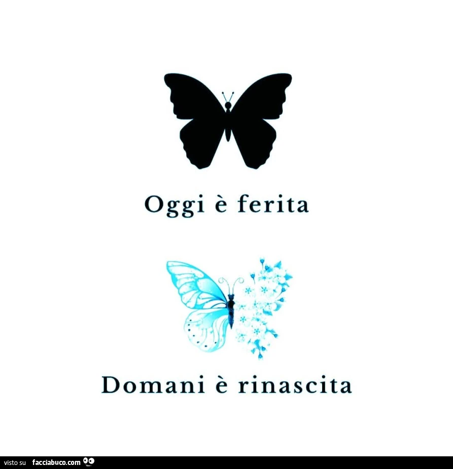 Oggi è ferita domani è rinascita