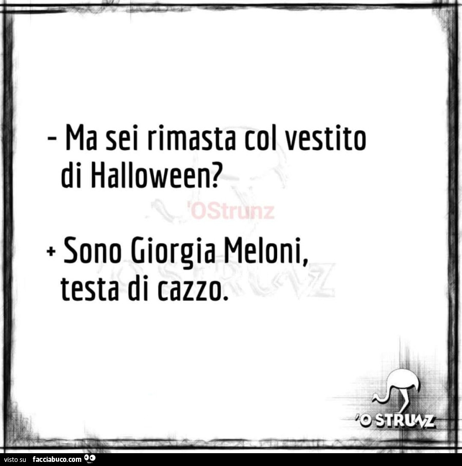 Ma sei rimasta col vestito di halloween? Sono giorgia meloni, testa di cazzo