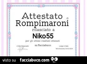 Attestato rompimaroni rilasciato a niko55