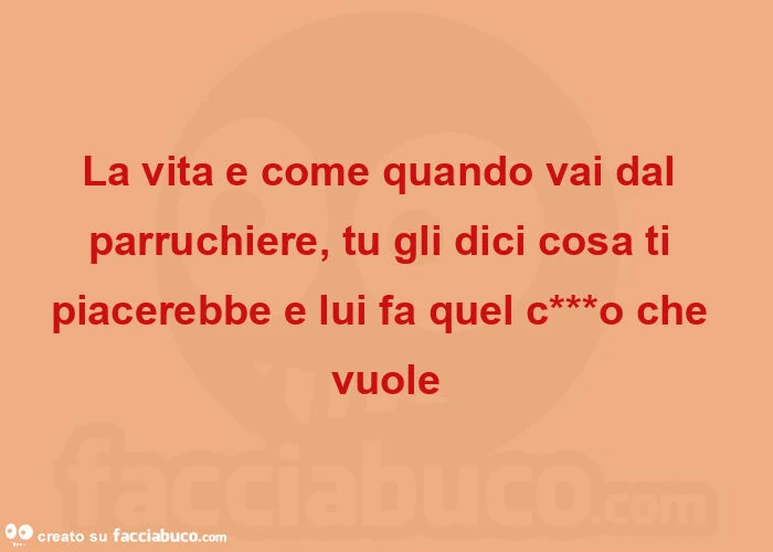 La vita e come quando vai dal parruchiere, tu gli dici cosa ti piacerebbe e lui fa quel c***o che vuole