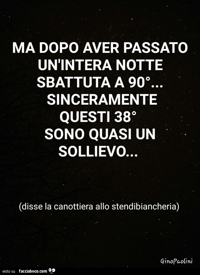 Ma dopo aver passato un'intera notte sbattuta a 90°… sinceramente questi 38° sono quasi un sollievo… disse la canottiera allo stendibiancheria