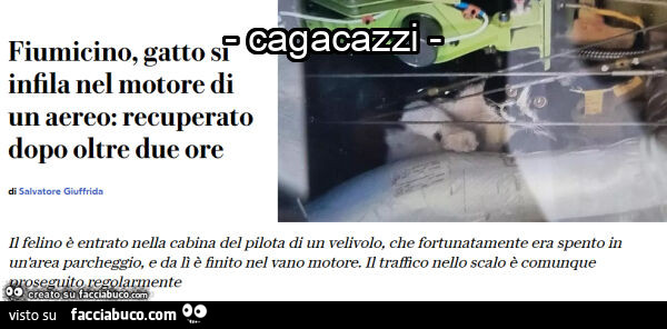 Gatto cagacazzi nel motore di un aereo