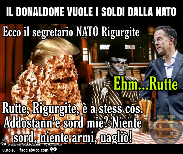 Il donaldone vuole i soldi dalla nato