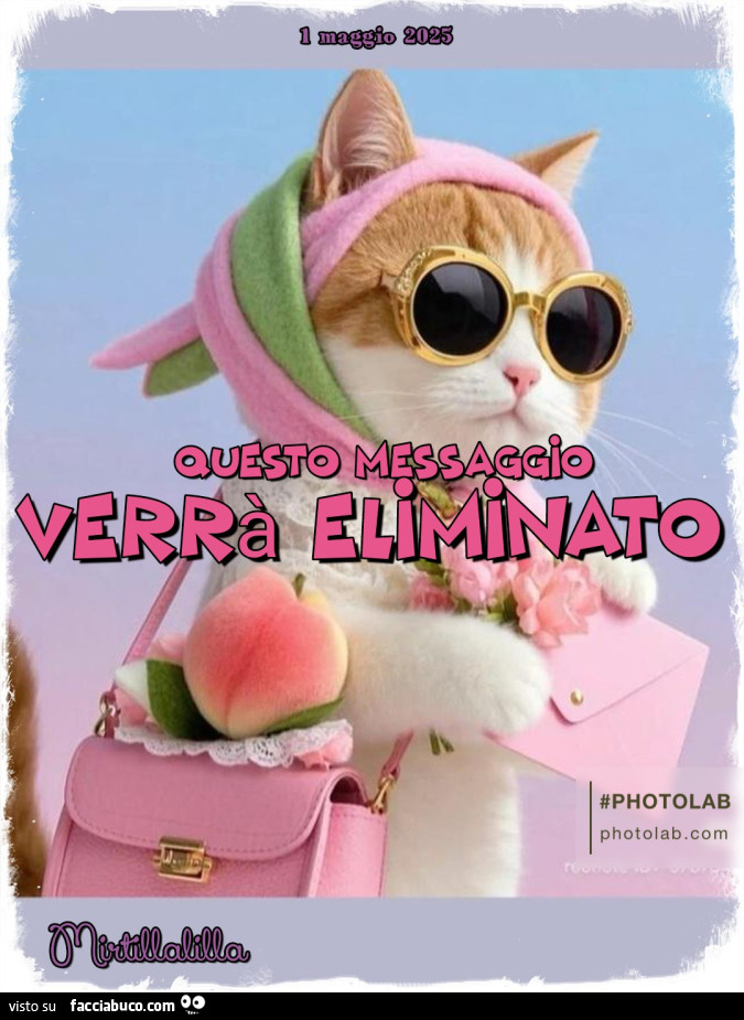 Questo messaggio verrà eliminato