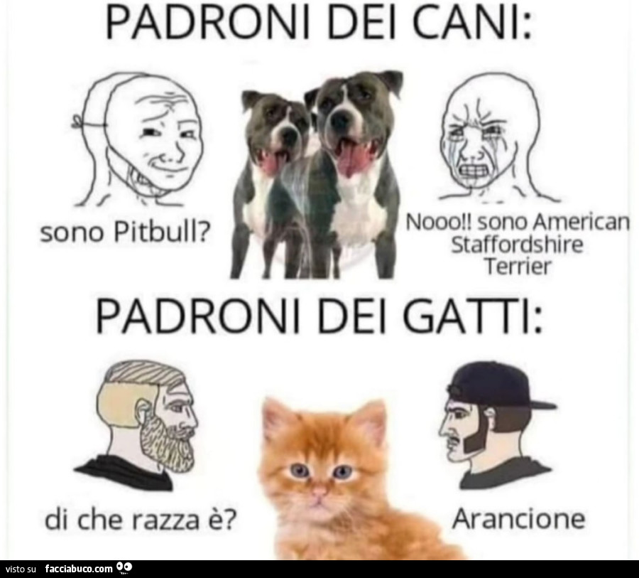 Padroni di cani e gatti