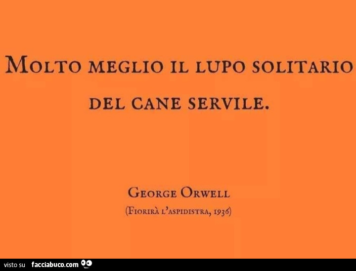 Molto meglio il lupo solitario del cane servile. George Orwell