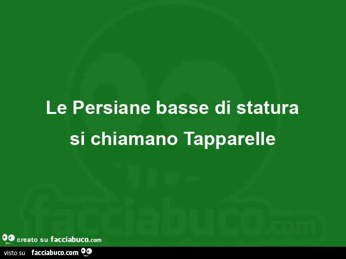 Le persiane basse di statura si chiamano tapparelle