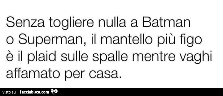 Senza togliere nulla a batman o superman, il mantello più figo è il plaid sulle spalle mentre vaghi affamato per casa